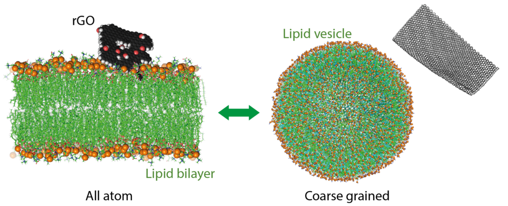 Image copyright: Markéta Paloncýová, CATRIN, Palacký University Olomouc