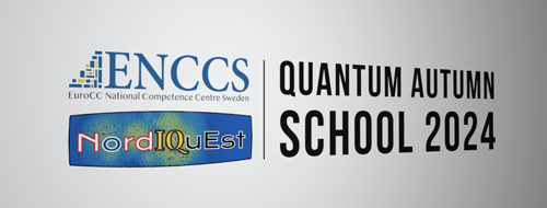 Quantum Autumn School 2024 - LUMI