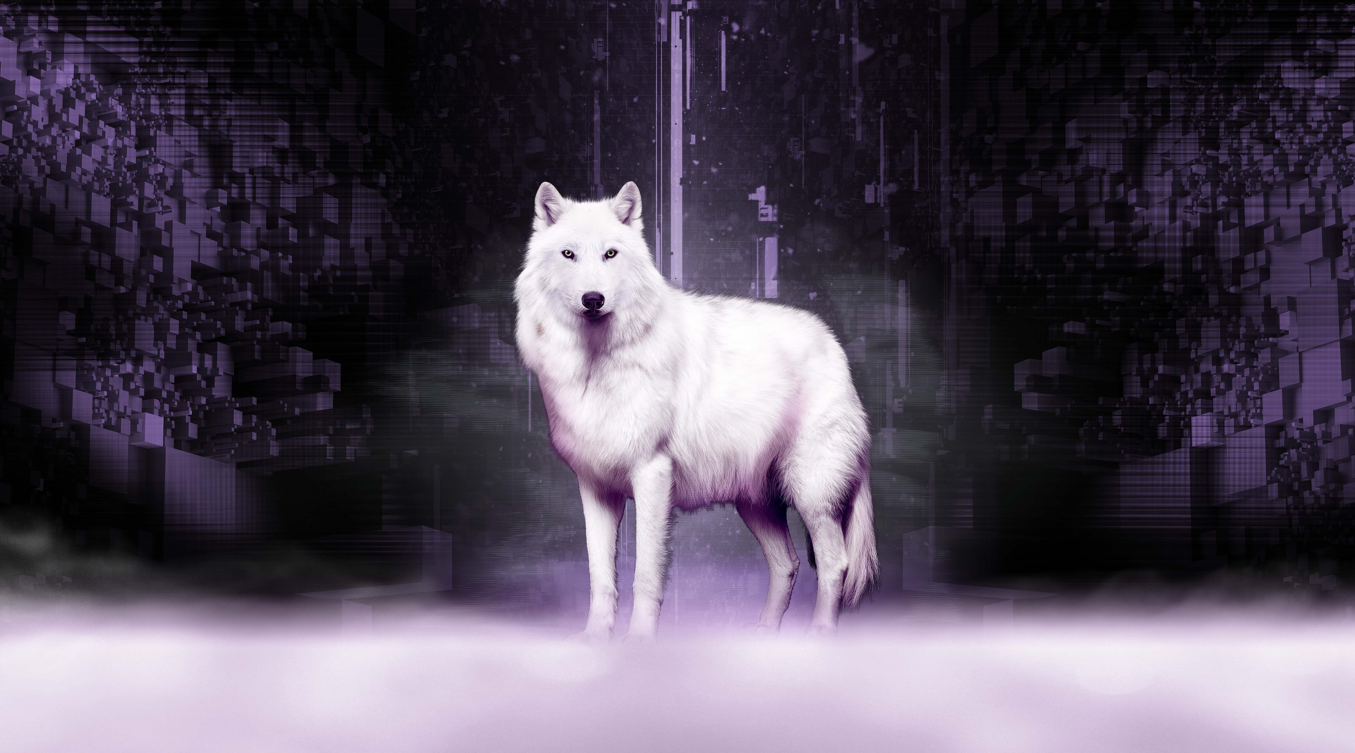 LUMI-AI brand image