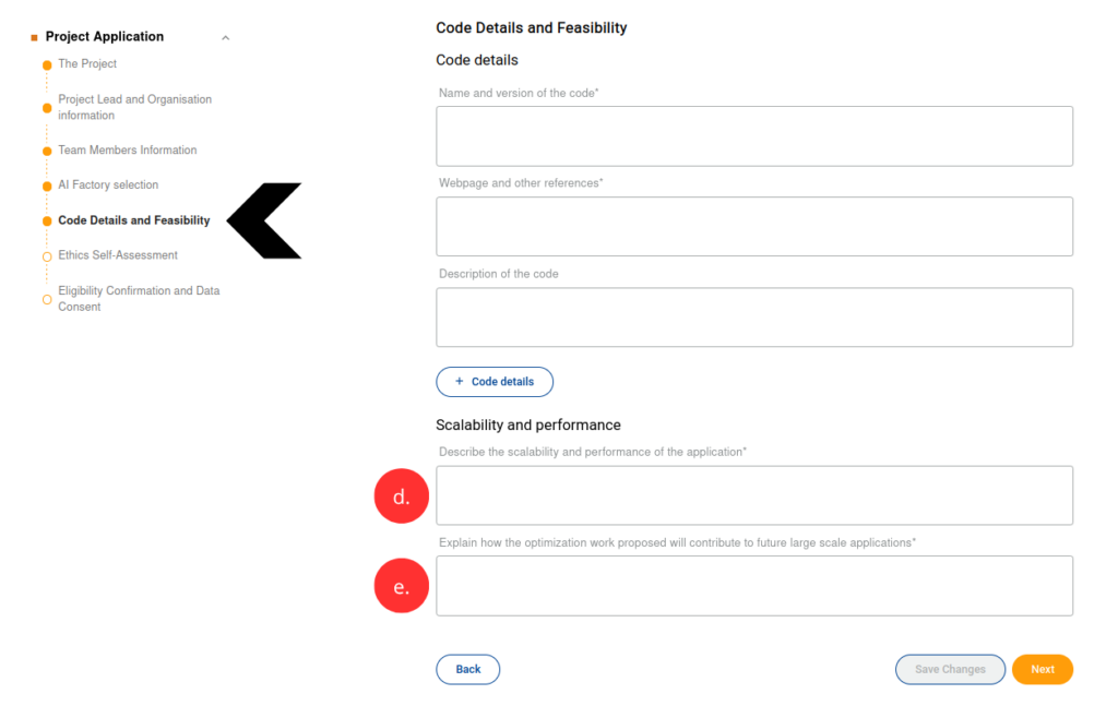 Screenshot of the "Code details and feasibility" form, fields d. and e. marked